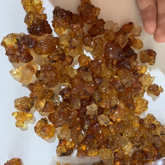 竹山县 桃胶雪燕皂角米一手货源 量大价优 需要老板联系