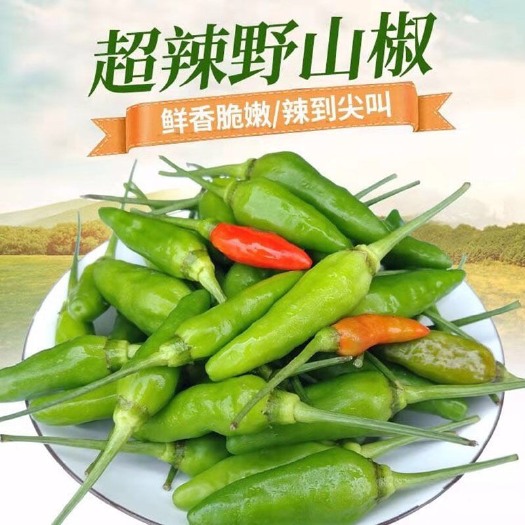 北流市 小米辣野山椒新鲜辣椒指天椒朝天椒老坛泡椒10斤5斤3斤包邮