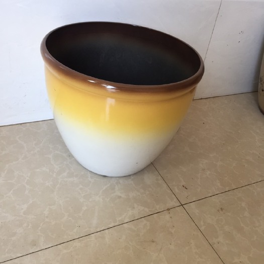 嘉兴长寿花盆栽 工厂直供出口花盆，各种尺寸大小颜色，都可以定制，有量就有价