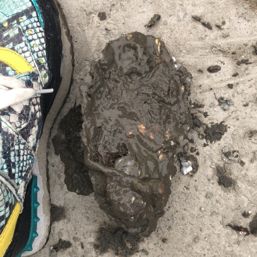庄河市大连生蚝 保质保量，欢迎洽谈