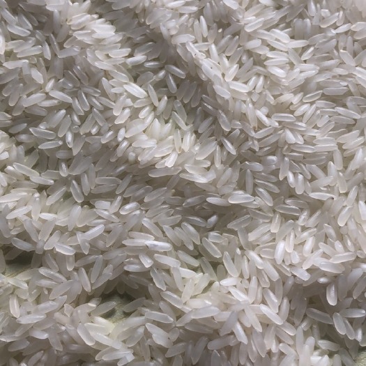 一等品 一季稻 籼米