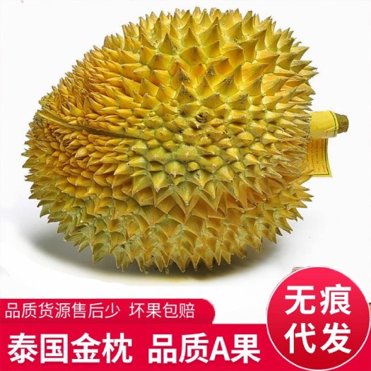 昆明 泰国金枕榴莲支持电商一件代发 水果