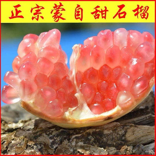 蒙自市 云南蒙自正宗甜石榴皮薄汁多，颗粒大种植基地批发价出售