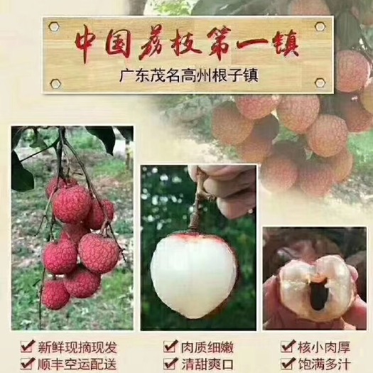 高州市 荔乡－荔枝（多种品种）