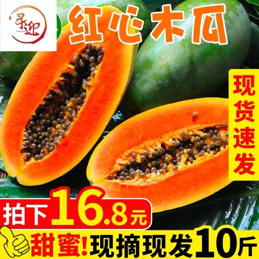 南宁大白木瓜  广西红心木瓜新鲜水果甜木瓜牛奶红心青木瓜10斤包