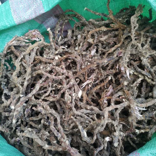 黎平县石菖蒲