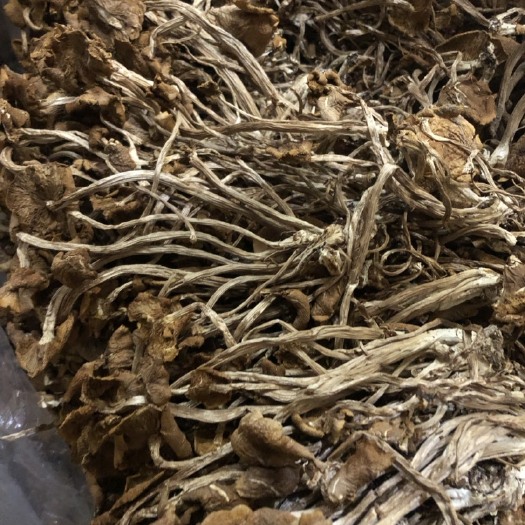 古田县福建古田干茶树菇 已开伞菌柄8~10cm 产地直发食用菌