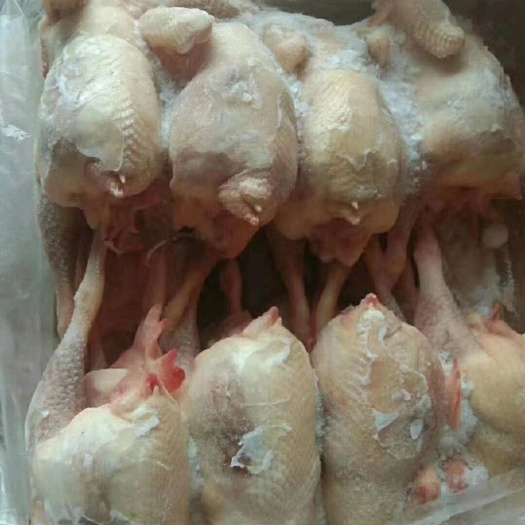 兴仁市鸡肉类 简加工