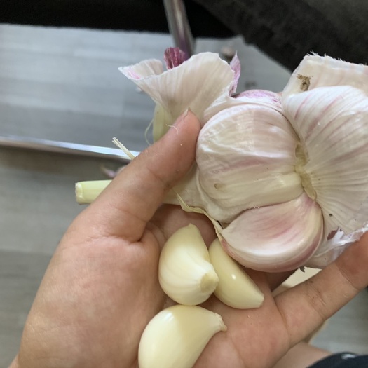 邳州市白皮大蒜 低价出售找真实货主给个辛苦钱就行