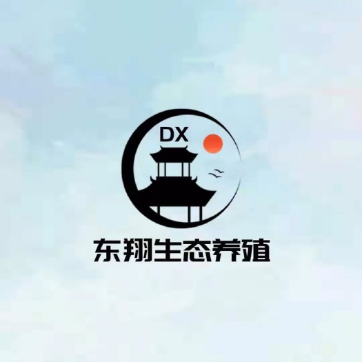 巢湖 土鸡蛋土鸭蛋