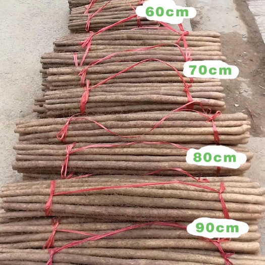 温县正宗焦作铁棍山药沙土铁棍山药怀山药淮山药产地直发
