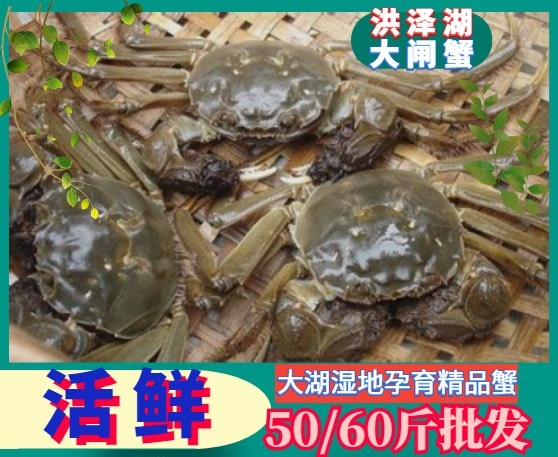 兴化市生态大闸蟹  大闸蟹 螃蟹 兴化大闸蟹 精品蟹 酒店、配送，高标准