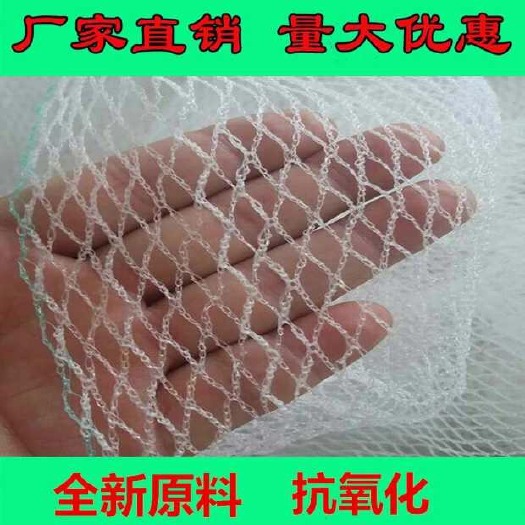 无棣县防雹网  防虫网防鸟网果园防护网