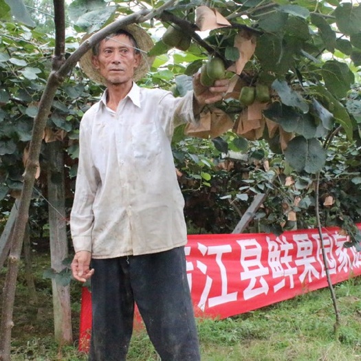 蒲江县红心猕猴桃（套袋果和阳光果）、绿心猕猴桃、黄心猕猴桃！