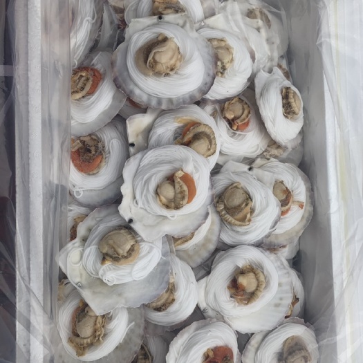 成都虾夷扇贝   粉丝扇贝