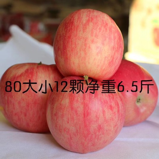 静宁县静宁苹果 正宗静宁红富士，高原山地果！口感脆甜！