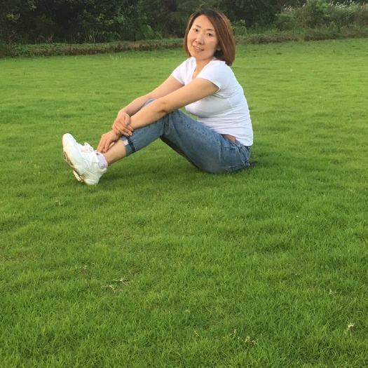 长沙马尼拉草皮  供应草坪