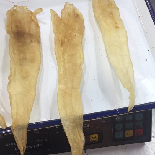 慈溪市鱼胶 12-18个月