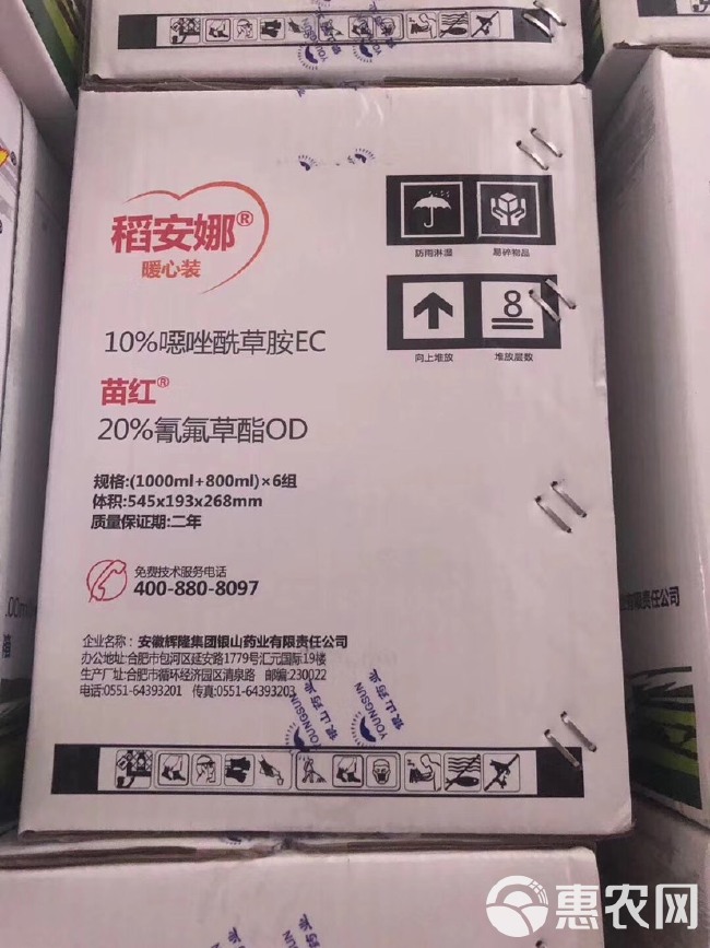  常规水稻种子徐稻10号高产适宜江苏安徽河南湖南湖北江西广西种