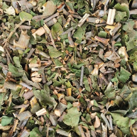 玉林大货供应｛桑寄生｝可批量可零售量大从优【包邮】