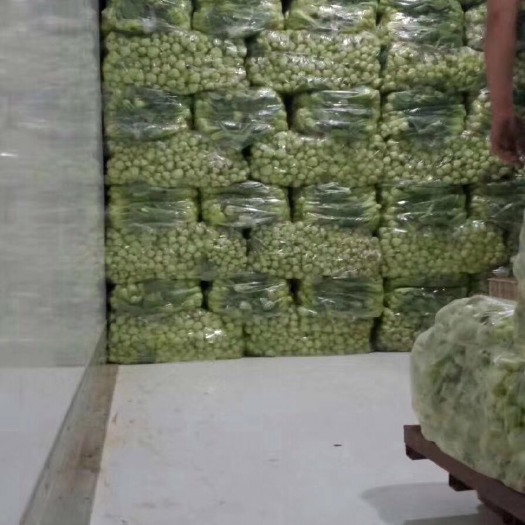 曹县上海青 大量精品货源，大棚种植露天种植，各种包装设计，质量绝
