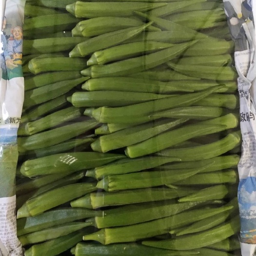 东莞市 秋葵