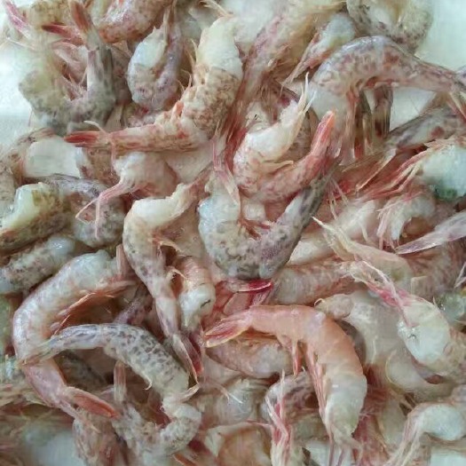 去头虾  无头海虾、天然海虾广西北海近鲜虾加工、长期有货有量