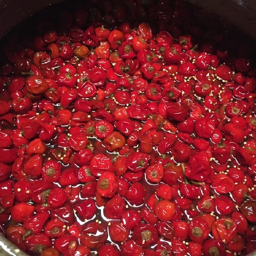 重庆市坛泡红灯笼泡椒泡菜珠子椒