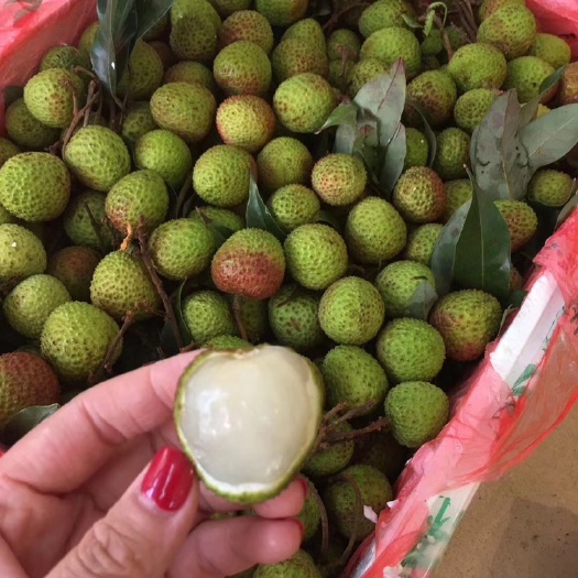 阳江妃子笑荔枝 特甜妃子笑