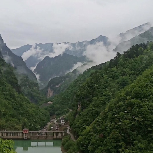 太原 太行山深处养殖基地有野酸枣蜂蜜荆条蜂蜜百花蜜等等