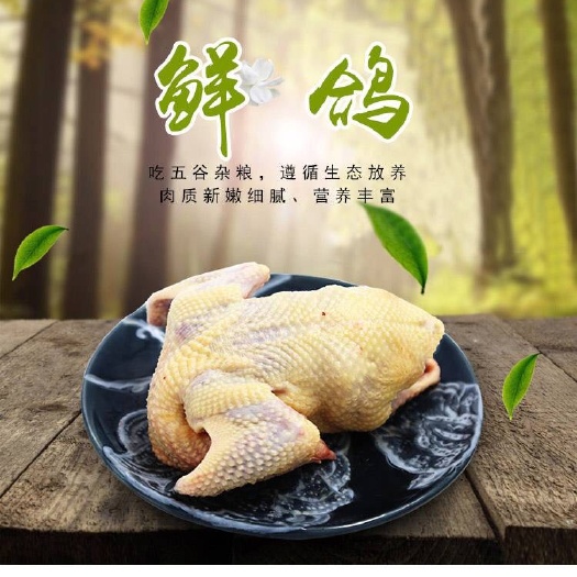 兴宁市乳鸽  舌尖上的美味，一鸽胜九鸡