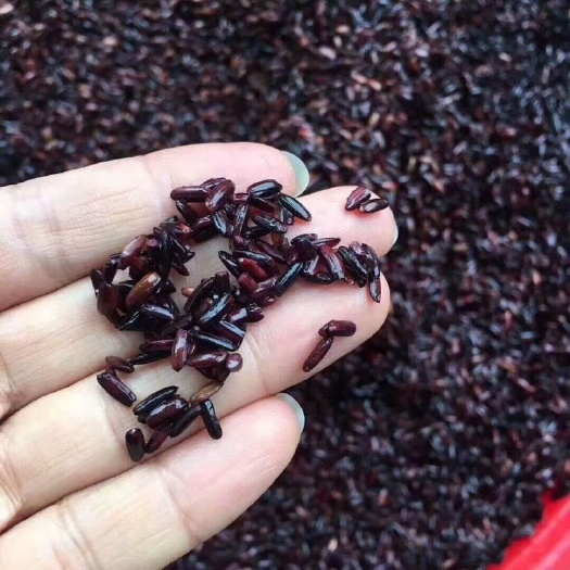 连南县 粤北瑶山糯米酒