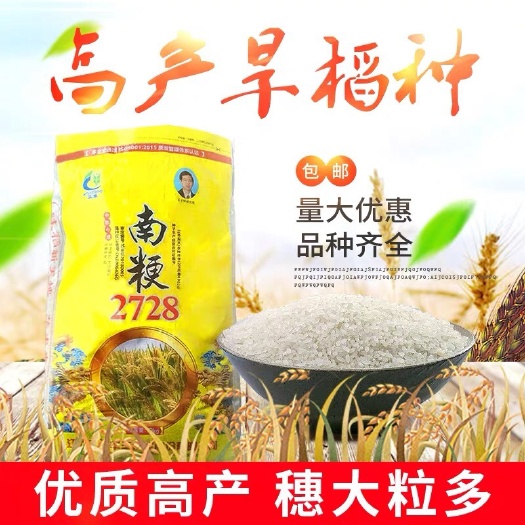 东海县 水稻种子优质高产香米稻谷种子南粳2728圆粒常规粳米种子品种