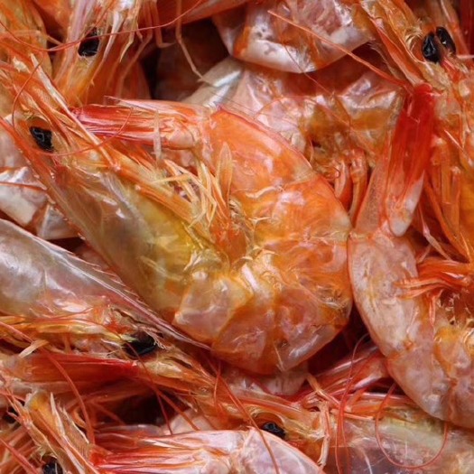 北海对虾干 18-24个月