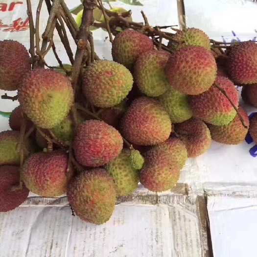 廉江市妃子笑荔枝 熟过老婆甜过初恋爽过小三红过成龙靓过范冰冰