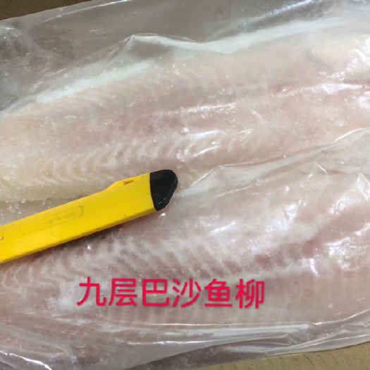 成都巴沙鱼