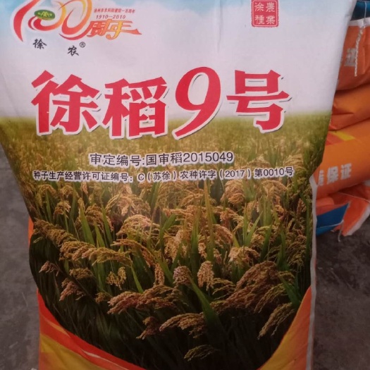 水稻种子徐稻9号高产抗倒伏抗病香米颗粒饱满均匀好卖粮