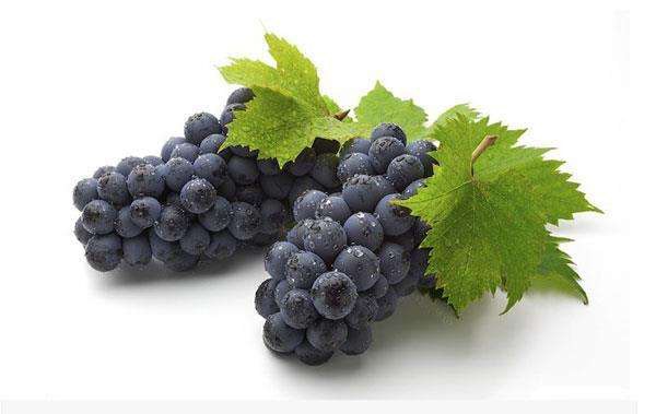 夏黑葡萄 1-1.5斤 5%以下 1次果