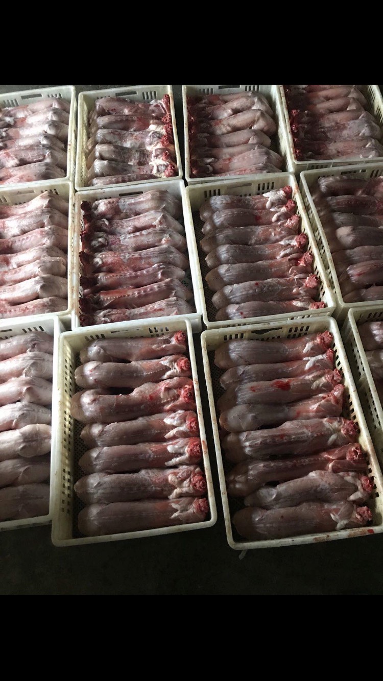 盐城兔肉类  供应剥皮去头去肝活杀鲜新冷冻多种规格的兔肉