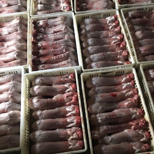兔肉类  供应剥皮去头去肝活杀鲜新冷冻多种规格的兔肉