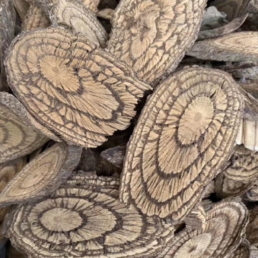 玉林大货供应｛麻骨风｝可批量可零售量大从优【包邮】