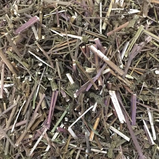 玉林长期供应｛荆芥｝可批量可零售量大从优【包邮】