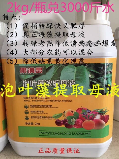南宁海藻肥 果满灵泡叶海藻叶面肥2000克3000斤水膨果叶面肥浓绿肥厚
