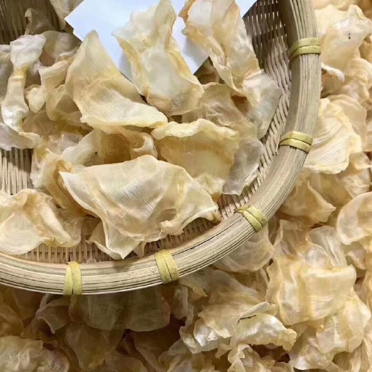 北海 热卖款红鱼胶。