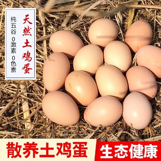 兴化市 正宗农村农家散养土鸡蛋纯粮食笨鸡蛋柴鸡蛋 新鲜草鸡蛋40枚