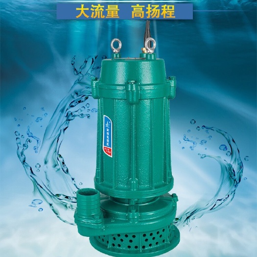 温岭市 高扬程工程污水泵家用农用灌溉大流量潜水泵泥浆泵2寸