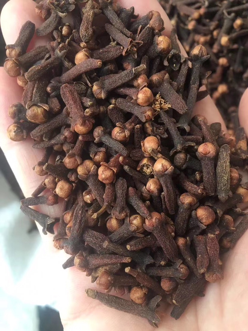 昆明干丁香  丁香