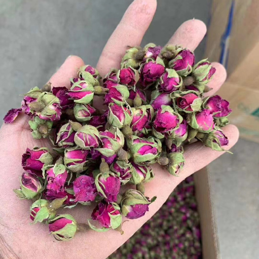 新疆和田玫瑰花