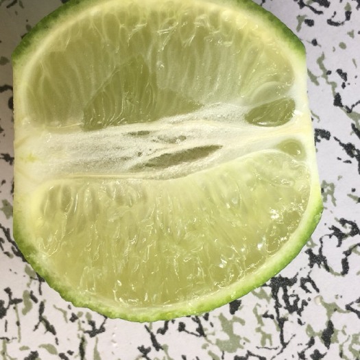 深圳 无籽柠檬