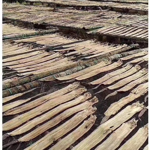 广州鳗鱼干  深海鱼  少刺肉厚
